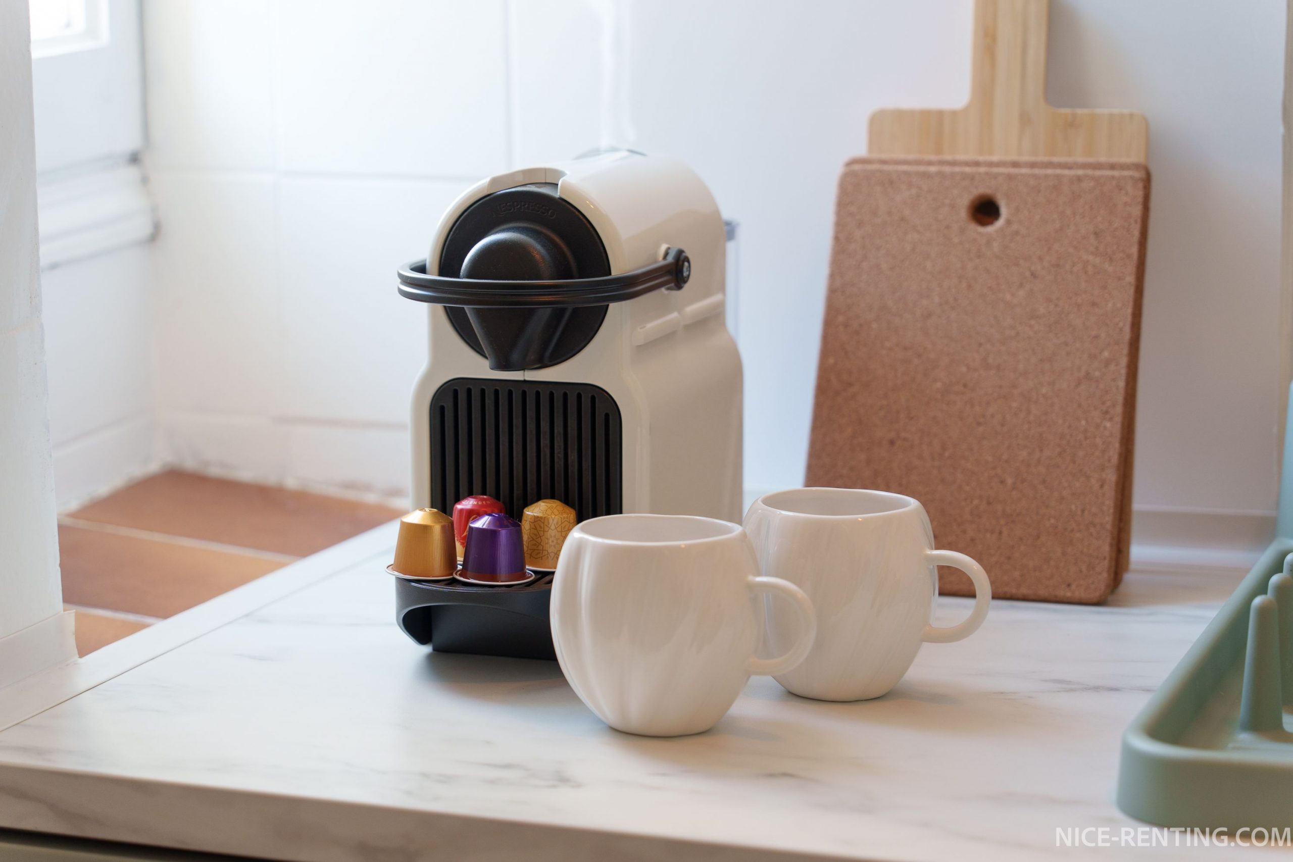 NICE-RENTING-CLEMENCEAU (13)