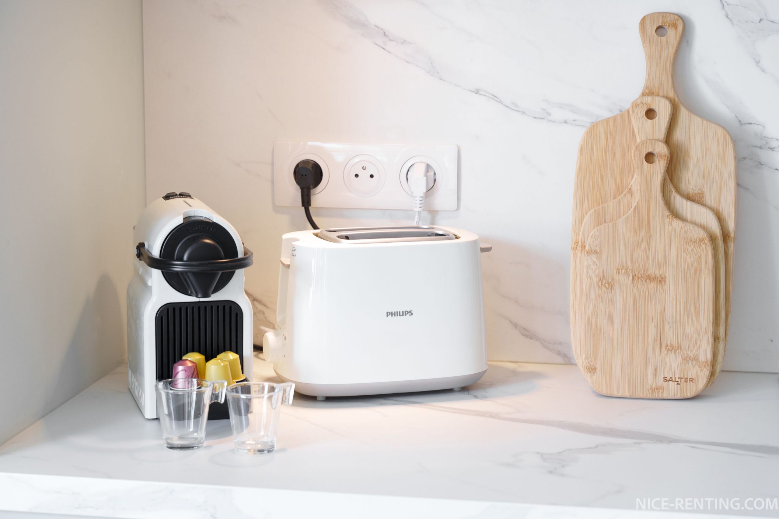 NICE-RENTING-fleurs (16)