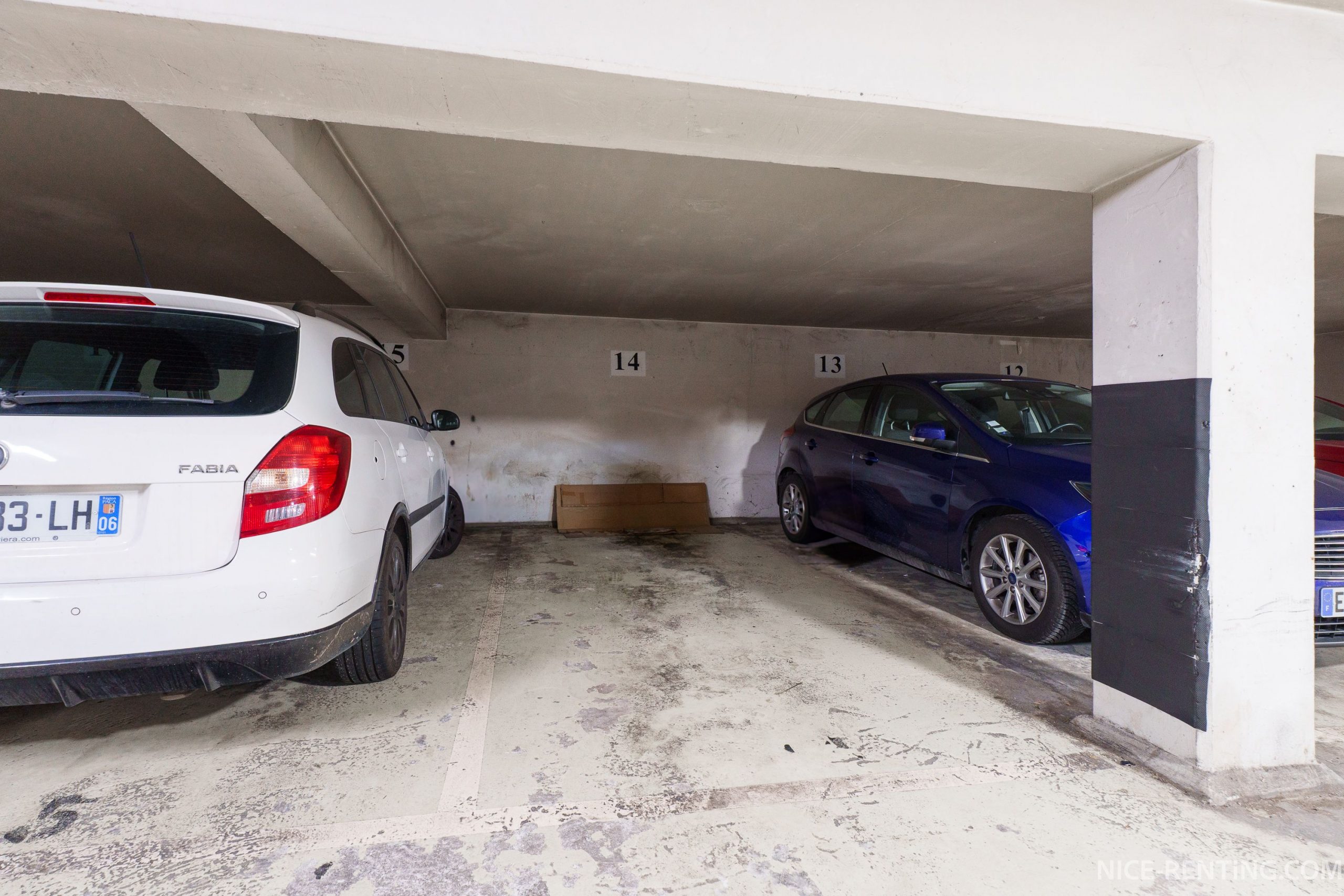 NICE-RENTING-fleurs (21)