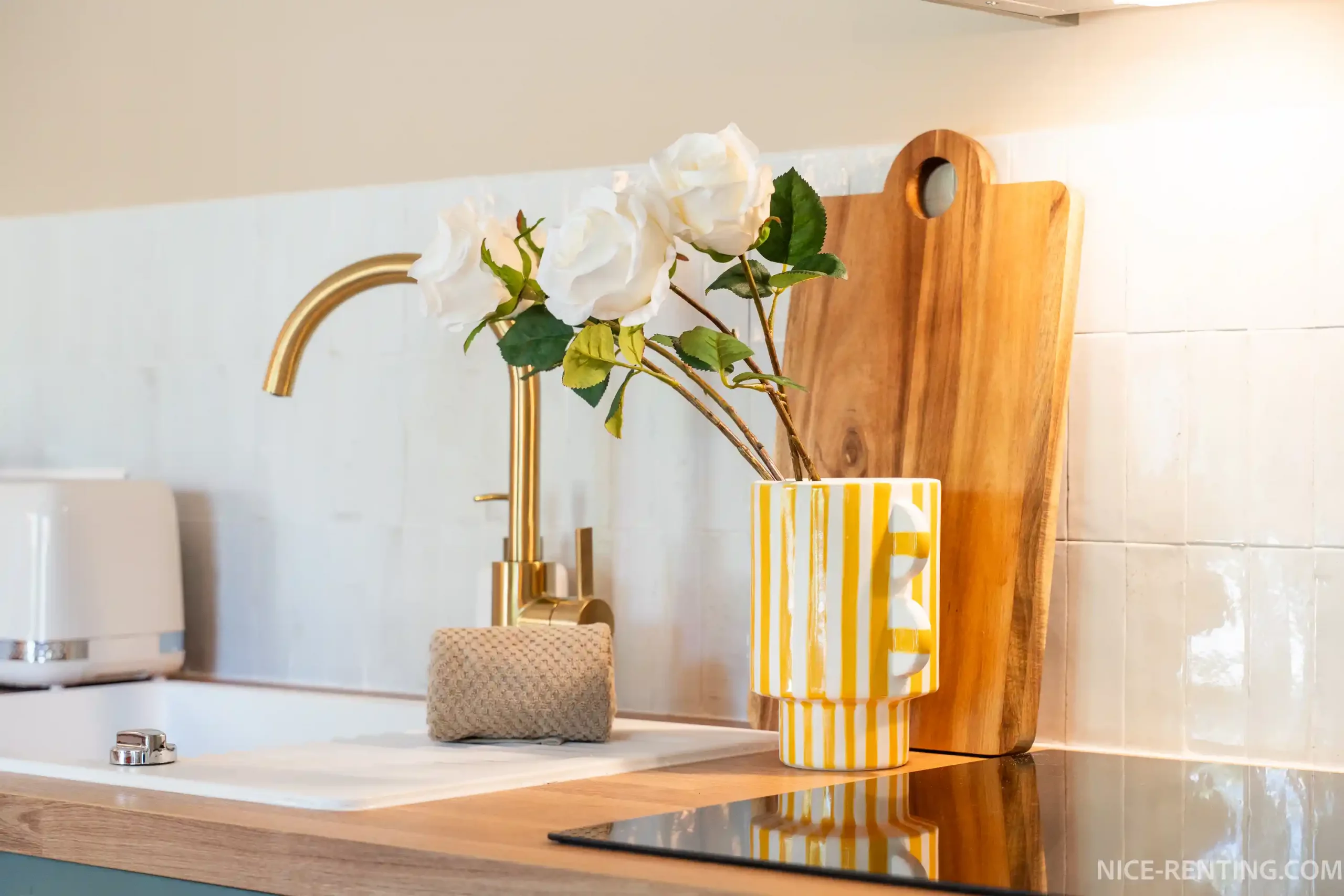 NICE-RENTING-CROTTI-2P(14)