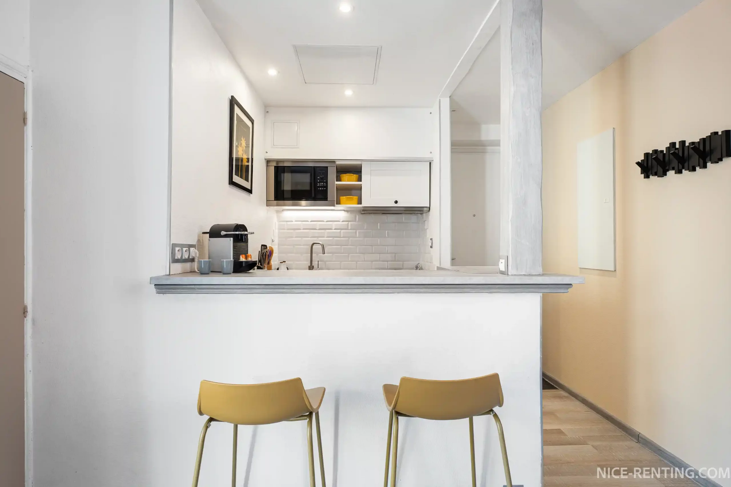 nice-renting-35bMassena (8)