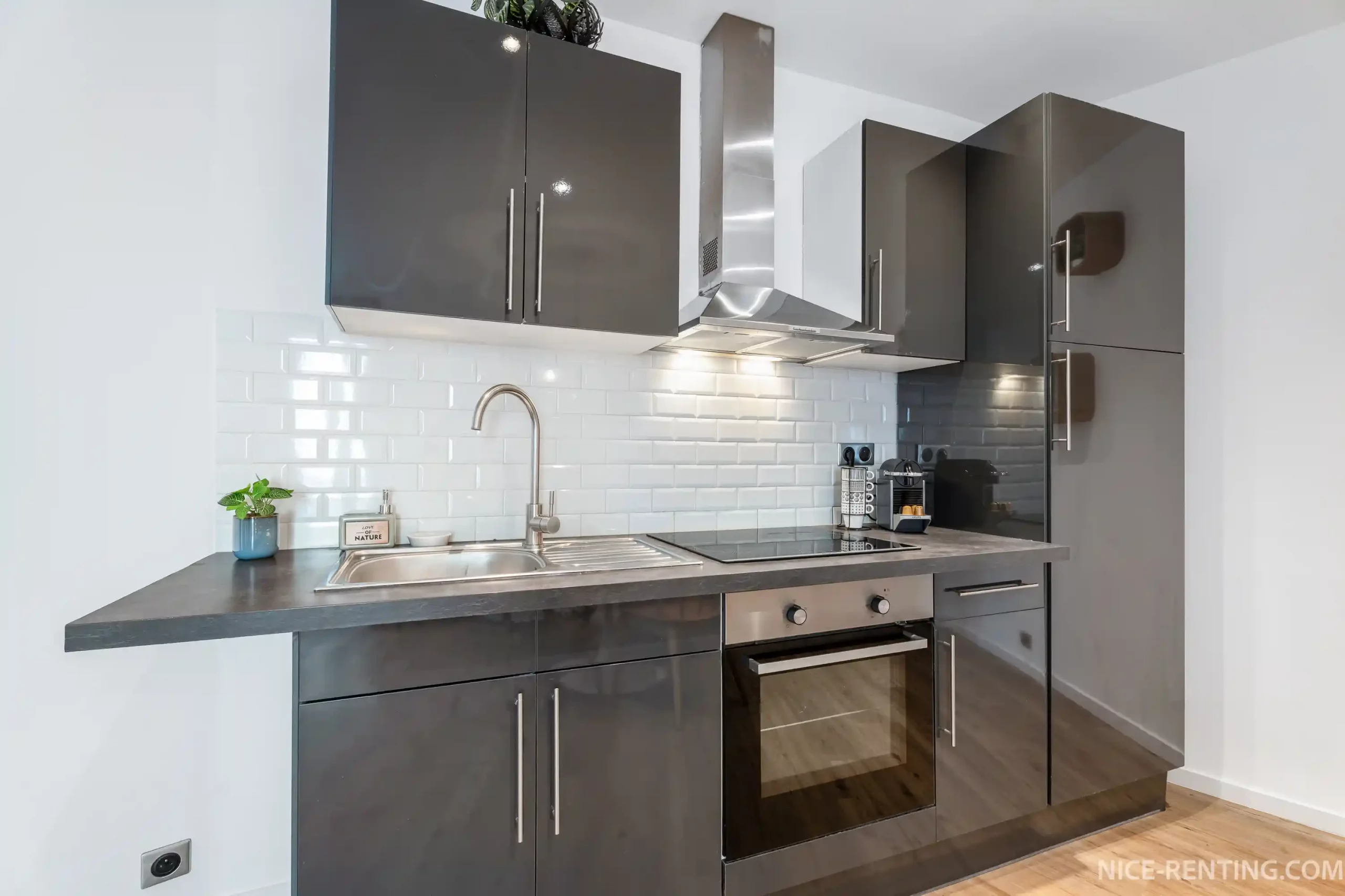 nice-renting-35massena (4)
